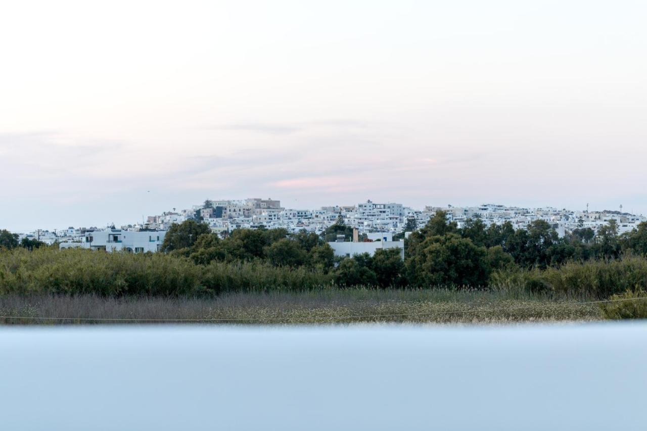 Isalos Villas Naxos Naxos City 外观 照片